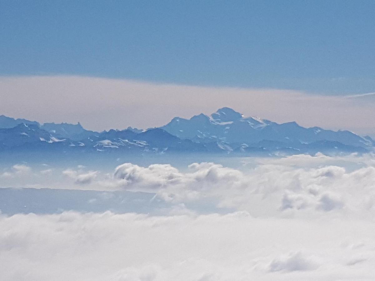 Mont Blanc Chalet *