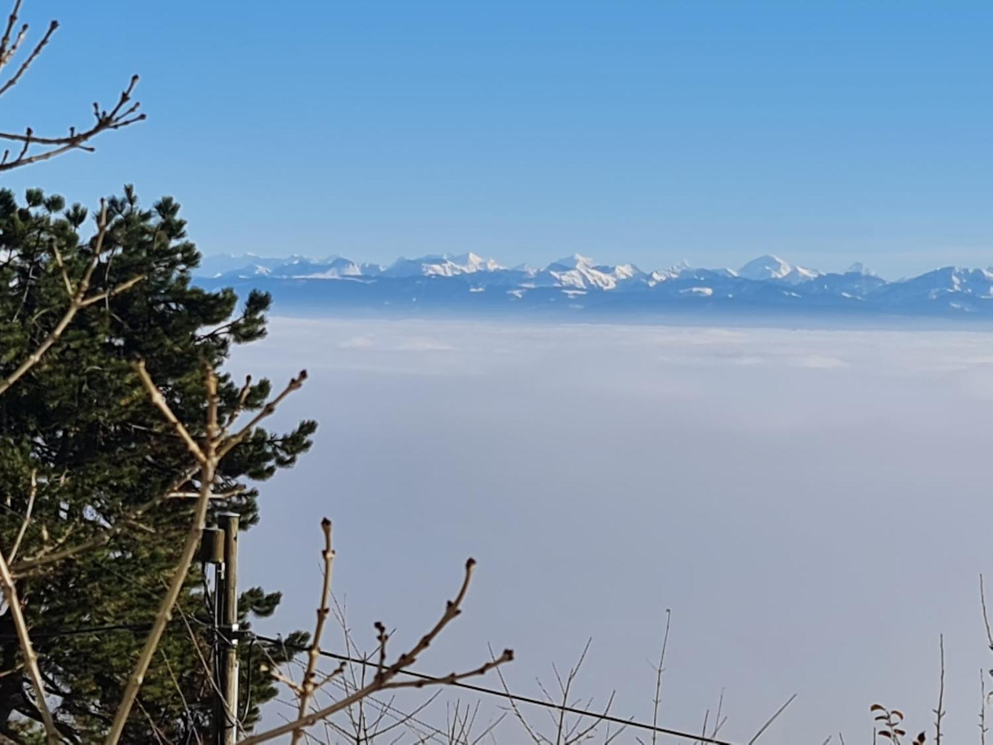 Mont Blanc Chalet *